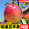 25-year-old Yunnan Zhaotong Ugly Apple Rock Candy Heart Authentic Gift Box Fresh Apple Fruit Seasonal Whole Box Flat Fruit 9 Jin Packed Large Fruit (80-90mm)