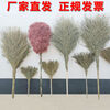 Bun Peng broom, special sanitation bamboo for the road, large family broom, plastic silk bamboo, small sorghum