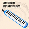 Chimei 37-key Teaching Recommendation Canvas Soft Case Mouth Organ Anzhe (Blue, With Playing Instructions)