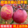 Yunnan Zhaotong rock candy heart ugly apple fruit fresh seasonal whole box Fuji red dew apple crispy sweet Mid-Autumn Festival selected fruit single fruit 50-60mm 2 catties trial pack