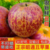 Jingxijia's authentic 25-year-old new fruit, Yunnan Zhaotong Rock Candy Chou Apple, seasonal fruit, freshly picked crispy and sweet wild Fuji apple, 2 pounds of medium-sized fruit in the whole box, fruit diameter 70-75, quality tasting