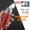Original SK5 steel pruning shears, sharp and labor-saving scissors, branch pruning, gardening shears, fruit tree scissors, ordinary U-shaped scissors, small size (not recommended), SK5 large-diameter thick branch shears, imported from Japan
