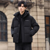 Flying in the Snow Goose Down Series Down Jacket Men's Short Hooded Winter New Fashion Gradient Coldproof Warm Jacket for Men