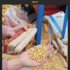 Vinoa fully automatic corn threshing machine household small 220V electric corn peeling machine large corn machine corn peeling artifact extended fully automatic corn threshing machine (with motor) color random