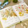 China National Geographic Illustrated Book of Flora and Fauna Butterfly Bible Plant Bible Officially Authorized by the Museum Plant Butterfly Flower Atlas Butterfly Bible + Plant Bible (two-volume set)