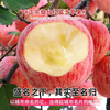 Dongdong Farm exclusively supplies Shandong Yantai Red Fuji apples, crispy, sweet and juicy Qixia ugly apples 80mm + 9kg in box