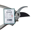 Xinmingtie pruning shears garden shears XMT4050