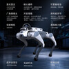 Miss Dolphin Cloud Deep Technology Lite3 Education and Research Intelligent Quadruped Robot Scenic Area Guide Machine Electronic Dog Mechanical Dog Electronic Pet Dog Automatically Follows Remote Control Robot Dog AI Version