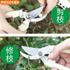 NAOISKEY steel twig shears, labor-saving pruning scissors, garden pruning, fruit tree grafting, garden shears tools, technology upgraded version (elbow + straight head combination)