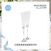 Wedgwood VeraWang True Love Follows Silver Champagne Pair Glass Goblet New Wedding True Love Follows Silver