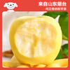 Jingxiansheng Shandong Venus apple net weight 7 pounds single fruit 200g fresh fruit direct from the source with free shipping