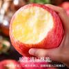 Dongdong Farm exclusively supplies Shandong Yantai Red Fuji apples, crispy, sweet and juicy Qixia ugly apples 80mm + 9kg in box
