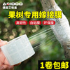 Ai Ruidun grafting special PE thickened film straps without knotting, agricultural fruit tree wrapping film, self-adhesive wrapping film, 200 meters long, 3 cm wide (1 pack)