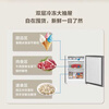 Haier 172 liter small refrigerator double door rental household small energy-saving refrigerator compact and does not occupy space BCD-172LHC2E0GH silver series