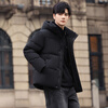 Flying in the Snow Goose Down Series Down Jacket Men's Short Hooded Winter New Fashion Gradient Coldproof Warm Jacket for Men