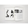 Illustrated History of Modern Chinese Character Design Peking University Press Book by Zhou Bo