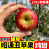 2025 Authentic Yunnan Zhaotong Rock Candy Apple Fresh Fruit Apple Seasonal Crisp Sweet Fruit Origin Straight Hair 9 Jin Pack Extra Large Fruit (90-100mm)