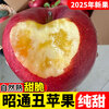 25-year-old Yunnan Zhaotong Ugly Apple Rock Candy Heart Authentic Gift Box Fresh Apple Fruit Seasonal Whole Box Flat Fruit 9 Jin Packed Large Fruit (80-90mm)