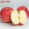 Luochuan Apple Shaanxi Yan'an Red Fuji Apple Fruit Fresh Gift Box Gift Box 15 85mm Large Fruit Apple Seasonal Fruit 15 Pieces 85