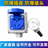 Explosion-proof plug and explosion-proof socket 220v380v10A16A explosion-proof and waterproof patented product plug and socket set five-hole socket panel 16A without bottom box
