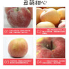 Tongganyuan Xinjiang Rock Candy Heart Apple, Ugly Apple, Seasonal Fresh Fruit Fuji Apple, Gift Recommendation, Net 8.5 catties, Selected Good Fruit, Single Fruit Starting from 160g