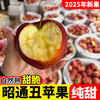 2025 Authentic Yunnan Zhaotong Rock Candy Apple Fresh Fruit Apple Seasonal Crisp Sweet Fruit Origin Straight Hair 9 Jin Pack Extra Large Fruit (90-100mm)