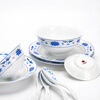 Hongye GZ RL Chinese porcelain Jingdezhen tableware set for home use a complete set of ten bowls and ten plates (56 pieces of Sichuan Zilianzhong tableware)