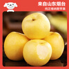 Jingxiansheng Shandong Venus apple net weight 7 pounds single fruit 200g fresh fruit direct from the source with free shipping