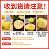 Jingdida Liaoning Huang Yuanshuai apple, net weight 4.5 catties, single fruit 85mm+, fresh fruit, direct shipping from the source, free shipping