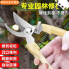 NAOISKEY steel twig shears, labor-saving pruning scissors, garden pruning, fruit tree grafting, garden shears tools, technology upgraded version (elbow + straight head combination)