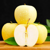 Jingdida Liaoning Huang Yuanshuai apple, net weight 4.5 catties, single fruit 85mm+, fresh fruit, direct shipping from the source, free shipping