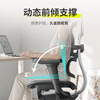 Ergonor Baoyou Jinhao B Eagle Ergonomic Chair Computer Chair Gaming Chair Office Chair Reclining Boss Chair Jinhao B Eagle X Yinbai.com