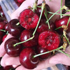 Chilean cherries packed with random crispy and sweet imported fruit gift box for pregnant women 250g (net weight) 5J pieces selected 34mm or above, sweet gift box