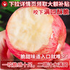 Authentic Yantai fresh apple fruit, 5 jins, 10 jins, seasonal whole box Qixia crispy sweet apple gift box, gift box with 85mm or more high-quality fruit king, highly recommended by the store manager (gift box sent randomly) 10 jins (net weight 9 jins)