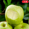 Jingdida Xinjiang Aksu Wanglin Apple Green Apple Net Weight 5 Jin Single Fruit 180g Fresh Apple Direct Shipping from the Source
