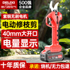 Delixi (DELIXI) electric tree pruning shears, powerful branch shears, lithium electric scissors, special electric shears for fruit trees, Speed Shear King 2.0Ah Brushless Economic Edition 1 Electric