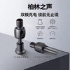 Erilles Berlin Voice Microphone Bluetooth Audio Integrated Wireless Microphone Outdoor Family KTV Live Broadcast Home Karaoke Sound Card Gray Deluxe Edition Charging Base + Storage Bag + Gift