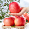 Jingdida’s authentic Xinjiang air-shipped Aksu apples, net weight 5 catties, single fruit 85mm + fresh fruit direct from source, free shipping