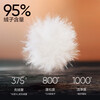 NetEase carefully selects China Big Goose Yanyun co-branded Yan 3.0 high-luxury 95% white goose down high-loft down jacket five-proof antibacterial quilt Xuanmo (regular style) L (175/96A)