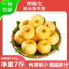 Jingxiansheng Shandong Venus apple net weight 7 pounds single fruit 200g fresh fruit direct from the source with free shipping