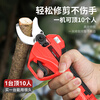 Delixi (DELIXI) electric branch pruning scissors rechargeable fruit tree gardening scissors pruning shears tree scissors pruning artifact Speed Shear King 2.0Ah Brushless Economic Edition 1 Electric