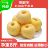 Beijing Fresh Shandong Cream Fuji Apple Net Weight 8 Jin Single Fruit 170g Fresh Fruit Direct Shipping from the Source