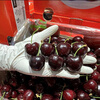 JDBMO Chilean cherries next day delivery SF/JD - door-to-door delivery Imported large cherry fresh fruit as a gift 3 pounds (net weight) Black Diamond Grade 4JJJJ Rare Fruit King