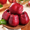 Jingxiansheng Gansu Tianshui Huaniu apples are big and red, 4.5 catties single fruit 260g + shipped directly from the source, free shipping