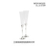 Wedgwood VeraWang True Love Follows Silver Champagne Pair Glass Goblet New Wedding True Love Follows Silver