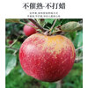 Sichuan Apple Crisp Sweet Rock Candy Heart Fuji Apple Fruit Fresh Salt Source Chou Apple Fresh 1kg 60-70mm+ Try it out