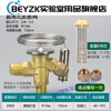 Refrigerator air conditioning cold storage TF type right angle internal balance R22/R410/134A throttling thermal expansion valve R134A valve body with (No. 6 core) free nut