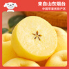 Beijing Fresh Shandong Cream Fuji Apple Net Weight 8 Jin Single Fruit 170g Fresh Fruit Direct Shipping from the Source