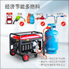 Milan Germany imported Shoujia gasoline generator single-phase 220V household 3kw5kw6KW8 3500W hand start burning gasoline 220V
