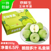 Jingxiansheng Shandong Wanglin apple net weight 6.5 catties single fruit 260g gift box fresh fruit direct from the source with free shipping